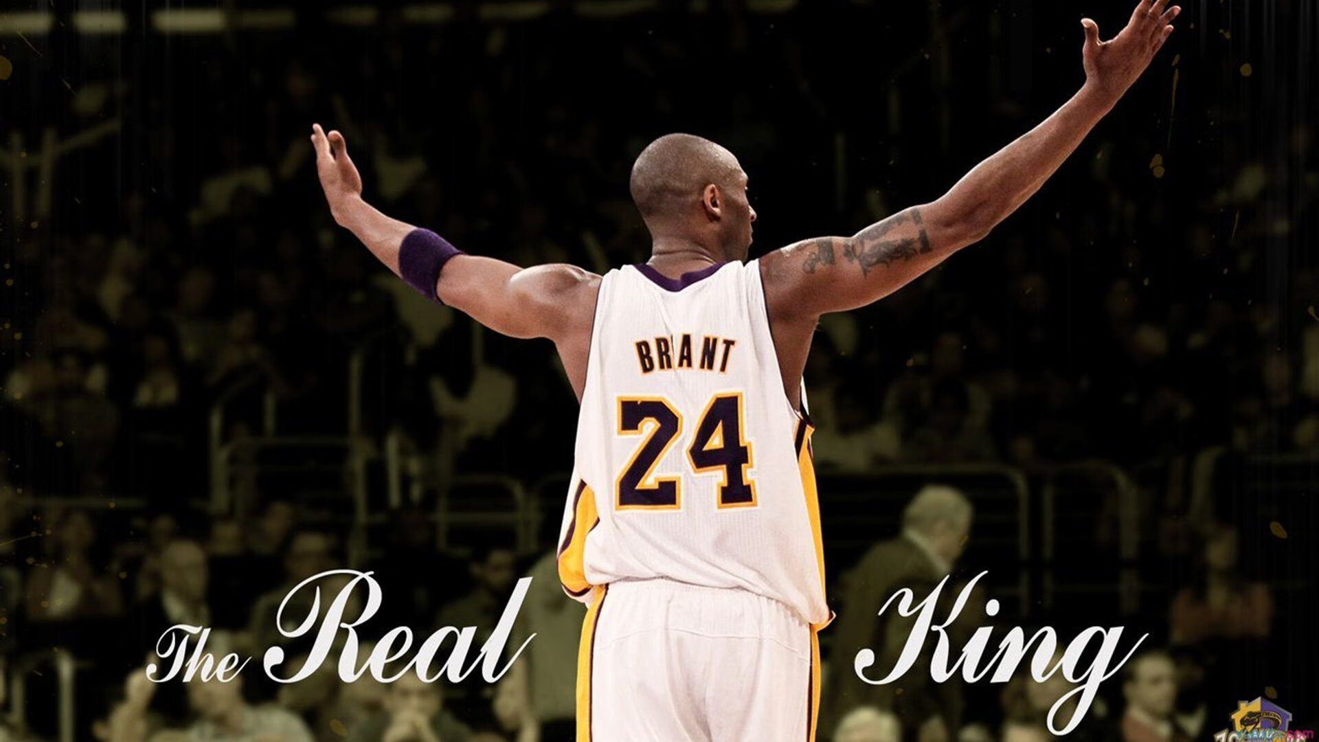 CBA赛季前瞻 多队志在冲冠，cba球队赛季